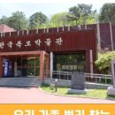 한국족보박물관 네이버블로그