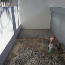 정선초등학교 이미지