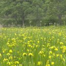 창포마을 이미지