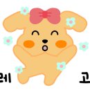 막창이야기 이미지