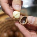 익선마트 | 베트남 나트랑 쇼핑리스트 뷰모리 나트랑 시내 기념품샵 구매 후기