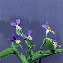 (주)삼다 이미지