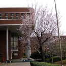 전남과학고등학교 이미지