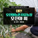 오진아 농촌치유농장 이미지