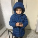 용인대 천지태권도장 | 분주함 아프지만 감사함으로 나아가자