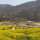 나루터로 27 (3) 이미지