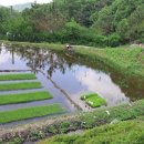 느티나무2농장 이미지