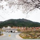 곡성-109 이미지