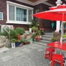 정철 동물병원 이미지