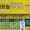 부동산119공인중개사사무소 이미지
