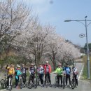 정모 카카오 검색결과