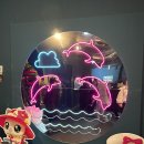 아쿠아리움 | 대구 최초 위시캣 콜라보 대구아쿠아리움 아이랑 후기