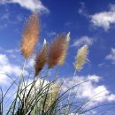 그대그리고나 이미지