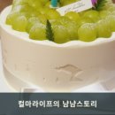 샤인카랜드 이미지