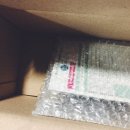 피노코로 | 일본 온천 타투 가리기 스티커 :: 본문에 링크 있어요!!