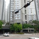 탄현약국 이미지