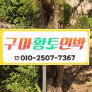 구마황토민박