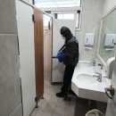 장수하늘소농장 이미지