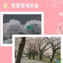 (주)보성허브 이미지