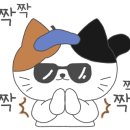 21세기 약국 이미지