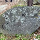 광릉금리원 이미지