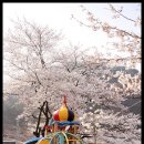 소달초교 이미지