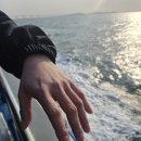 연안 | 멀미 걱정 no 인천 연안부두 우럭 배낚시 후기