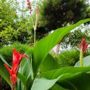 로즈마리 펜션 이미지