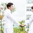 닥터스