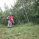 자연식탁 이미지