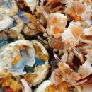 자매돌산갓김치 이미지