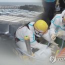 (주)우진씨푸드