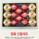 팜스팜 이미지
