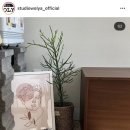 스튜디오월야