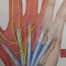 아름미한의원 이미지