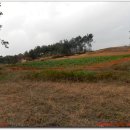 논산농협주유소 방면 이미지