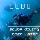 그랑블루 | 세부 스쿠버다이빙 SDI 오픈워터 자격증 따기 세부 뉴그랑블루 후기