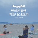 아웃독(OUT DOG) 이미지