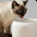 다정슈퍼 이미지