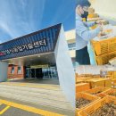 안성인삼협동조합 - 91836 | 안성인삼협동조합