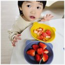 단북애청년 | 딸기파는곳 단부기 고당도 설향 생딸기 과일선물