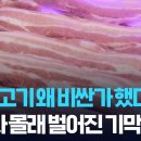 돼지마트 이미지
