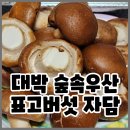 농업회사법인(주)자담 - 서귀포시 | 농업회사법인(주)자담