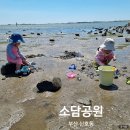 소담밥짐 | 아이랑 가기좋은 소담공원 갯벌체험 솔밭공원 피크닉 이용 정보 후기