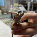 더 샵 동물메디컬센터 이미지