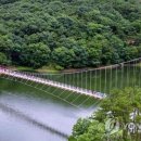 장성호 미락단지 이미지