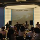 아일랜드코쿤 이미지