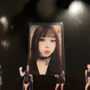 호랑마켓덕이점 | Darl+ing