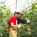 독립농장 이미지