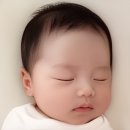 D-25 | 25-28주 D-100 돌파! 안정기를 지나 임신 후기 진입, 4D입체초음파, 베이비페이스, 태교여행